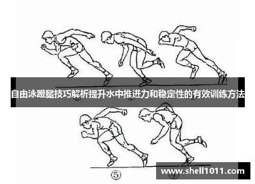 自由泳蹬腿技巧解析提升水中推进力和稳定性的有效训练方法