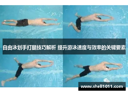 自由泳划手打腿技巧解析 提升游泳速度与效率的关键要素 自由泳划手打腿技巧解析 提升游泳速度与效率的关键要素